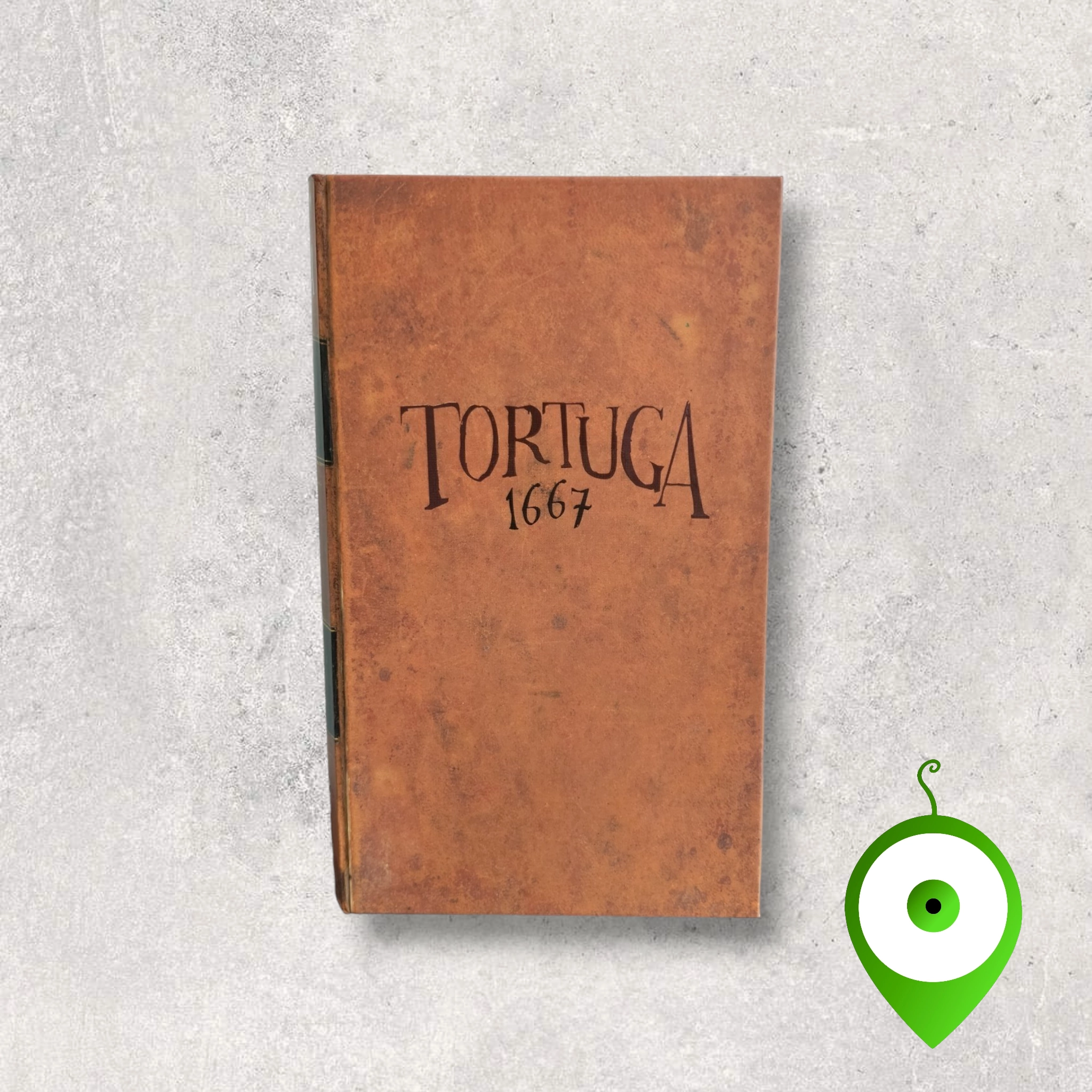 Tortuga 1667